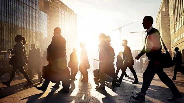 国汇策略 主力资金连续5日净流入71股