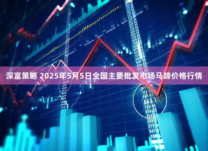 深富策略 2025年5月5日全国主要批发市场马蹄价格行情