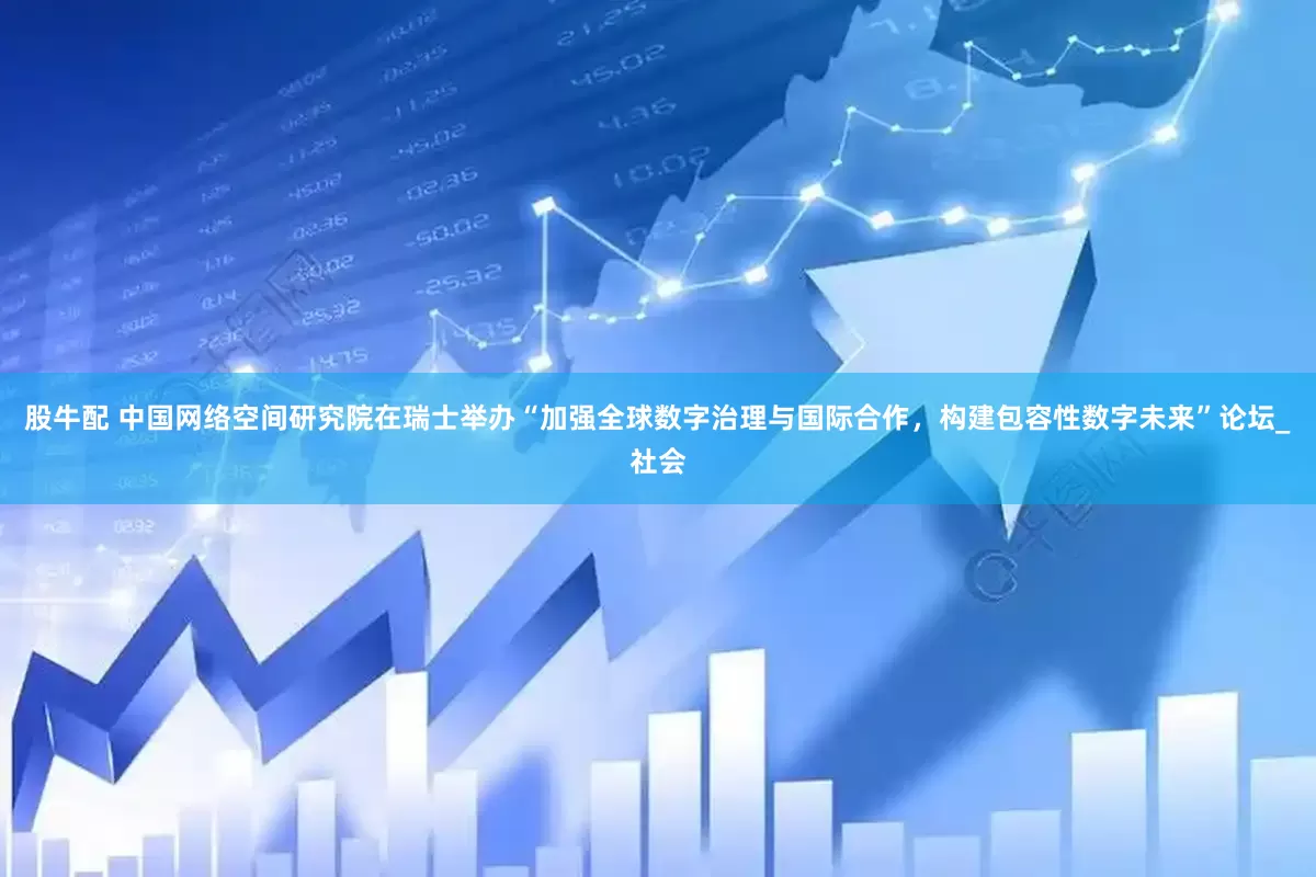 股牛配 中国网络空间研究院在瑞士举办“加强全球数字治理与国际合作，构建包容性数字未来”论坛_社会