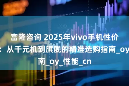 富隆咨询 2025年vivo手机性价比全解析：从千元机到旗舰的精准选购指南_oy_性能_cn